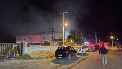 Hüsnü Ümit AVCI/ SİVAS, – SİVAS’ta ahşap üretim fabrikasında çıkan