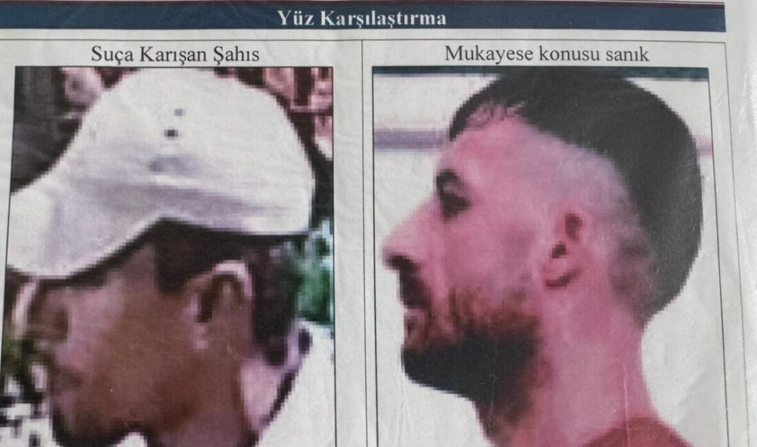 Seyfettin EKEN-Gıyasettin TETİK/DİYARBAKIR, – DİYARBAKIR’da Mehmet Hüseyin Aydemir (40), 2016’da