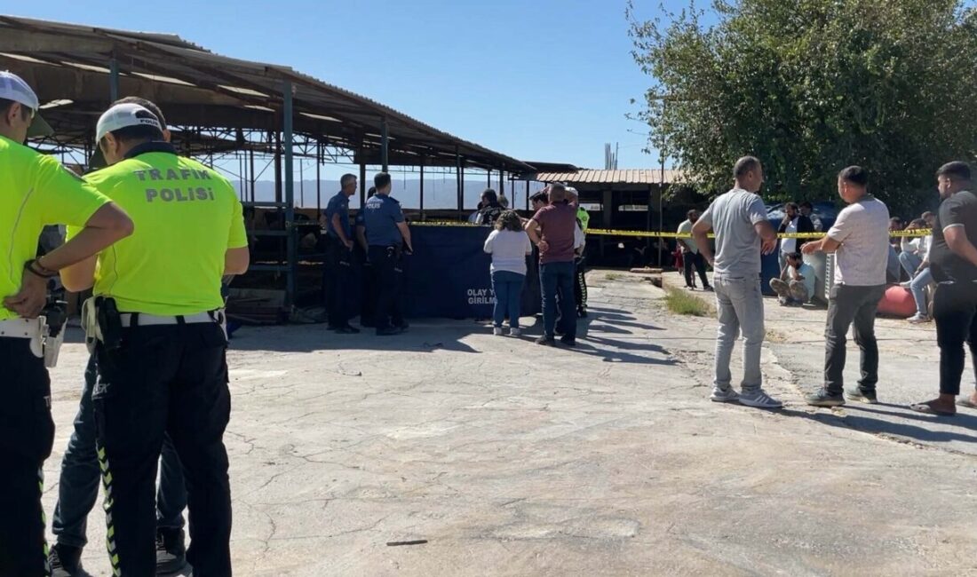 Melek FIRAT/AYDIN, -AYDIN’ın Efeler ilçesinde süt toplama kamyonunun çarptığı El