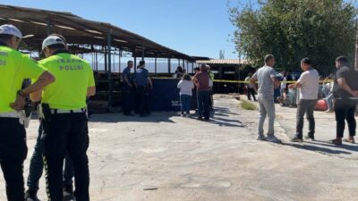 Melek FIRAT/AYDIN, -AYDIN’ın Efeler ilçesinde süt toplama kamyonunun çarptığı El