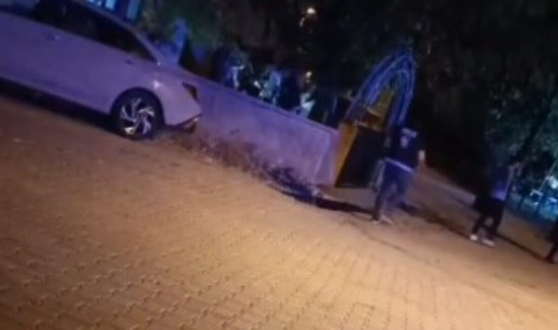 Nursel ŞENGEZER/ KARAKOÇAN (Elazığ), – ELAZIĞ’ın Karakoçan ilçesinde damat, tartıştığı