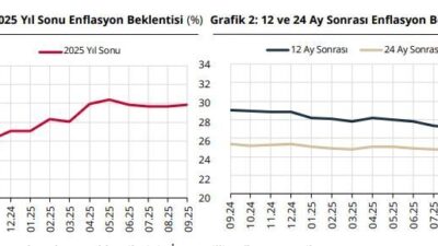 ANKARA, – TÜRKİYE Cumhuriyet Merkez Bankası (TCMB), eylül ayında piyasa