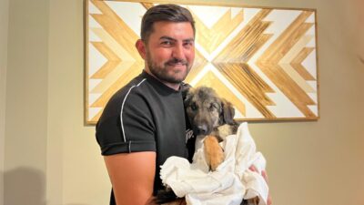 Gizem CENGİL-Ali Oğulcan ARSLAN/ANKARA, – KOCAELİ’nin Başiskele ilçesinde hayvansever Ömer