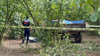 Levent KIZILASLAN/KARASU (Sakarya), – SAKARYA’nın Karasu ilçesinde kendisine ait fındık