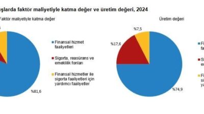 ANKARA, – TÜRKİYE İstatistik Kurumu (TÜİK), geçen yıl mali aracı