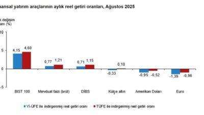 ANKARA, – TÜRKİYE İstatistik Kurumu (TÜİK), ağustos ayında en yüksek