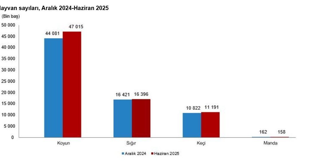 Umutcan ÖREN/ANKARA, – TÜRKİYE İstatistik Kurumu (TÜİK), haziran sonu itibarıyla