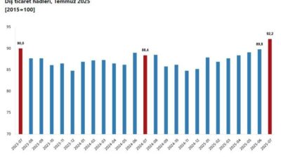 ANKARA, – TÜRKİYE İstatistik Kurumu (TÜİK), 2025 yılı Temmuz ayında