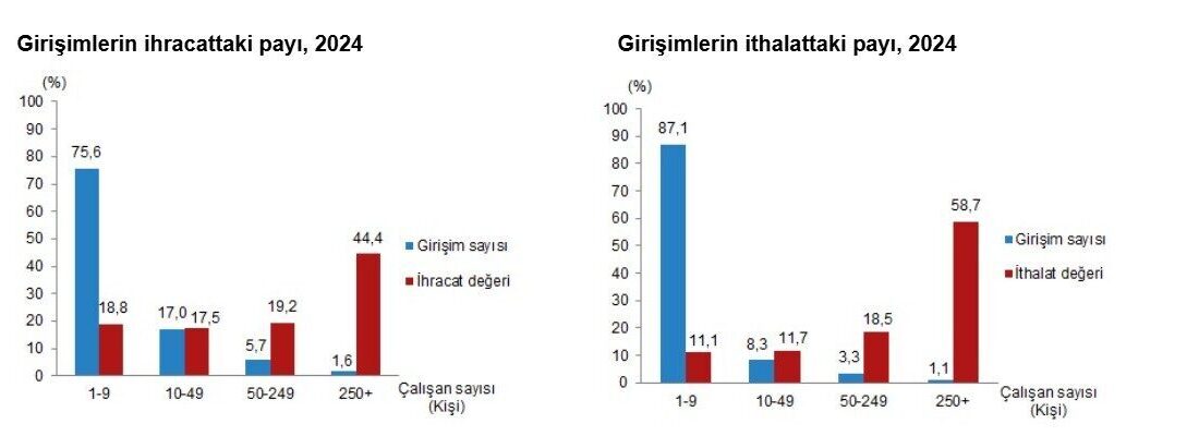 ANKARA, – TÜRKİYE İstatistik Kurumu (TÜİK), 2024 yılındaki ihracatın yüzde