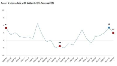 ANKARA, – TÜRKİYE İstatistik Kurumu (TÜİK), sanayi üretiminin temmuz ayında