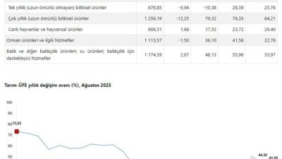 ANKARA, – TÜRKİYE İstatistik Kurumu (TÜİK), tarım ürünleri üretici fiyatlarının,
