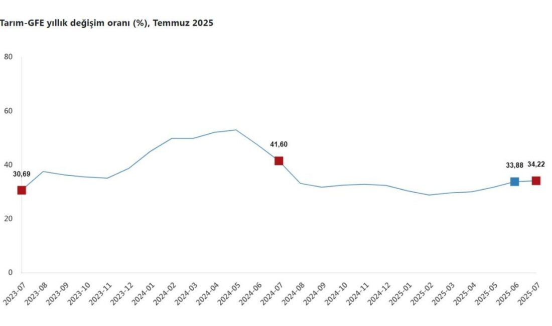 Aybala MELEK/ANKARA, – TÜRKİYE İstatistik Kurumu (TÜİK), tarımsal girdi fiyatlarının