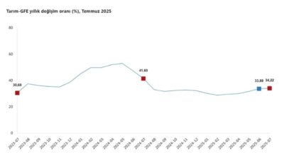 Aybala MELEK/ANKARA, – TÜRKİYE İstatistik Kurumu (TÜİK), tarımsal girdi fiyatlarının