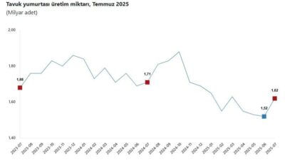 ANKARA, – TÜRKİYE İstatistik Kurumu (TÜİK), temmuz ayında aylık yumurta,