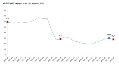 Ruken KADIOĞLU/ANKARA, – TÜRKİYE İstatistik Kurumu (TÜİK), yurt dışı üretici