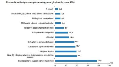 ANKARA, – TÜRKİYE İstatistik Kurumu (TÜİK), web sitesi ya da