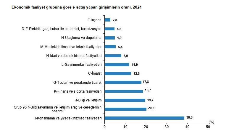 ANKARA, – TÜRKİYE İstatistik Kurumu (TÜİK), web sitesi ya da