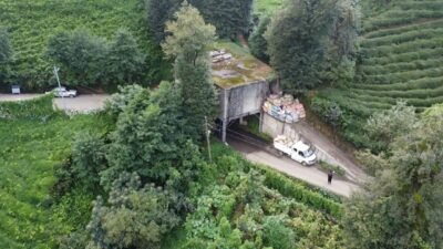 Mehmet Can PEÇE- Cevahir TOPALOĞLU/PAZAR (Rize), – RİZE’nin Pazar ilçesinde