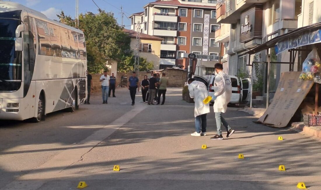 Barış KUL/ ERCİŞ (Van), – VAN’ın Erciş ilçesinde hafif ticari