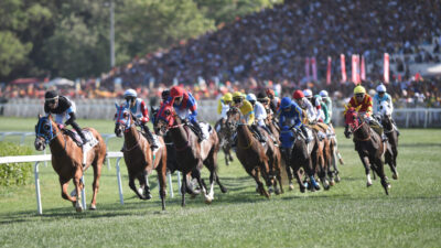 İSTANBUL, – HAFTA sonunda birbirinden değerli safkanların kıyasıya mücadele vereceği