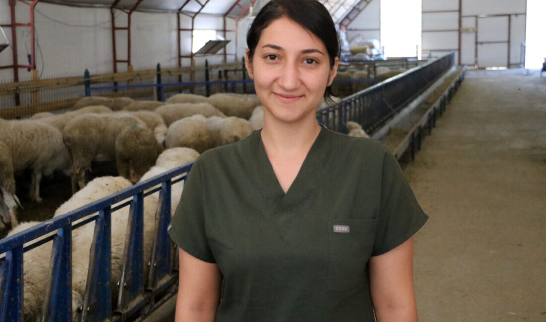 Veteriner hekim Aybike, devlet desteğiyle kurduğu tesisle örnek olup, ön yargıları yıktı Ali Fuat GÜÇLÜER/AFYONKARAHİSAR, – AFYONKARAHİSAR’ın Sultandağı ilçesinde 2 yıllık veteriner