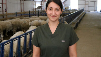 Ali Fuat GÜÇLÜER/AFYONKARAHİSAR, – AFYONKARAHİSAR’ın Sultandağı ilçesinde 2 yıllık veteriner