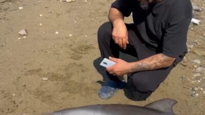 Zehra BAYKAL/ÇİFTLİKKÖY (Yalova), – YALOVA’nın Çiftlikköy ilçesi sahilinde, yaklaşık 2