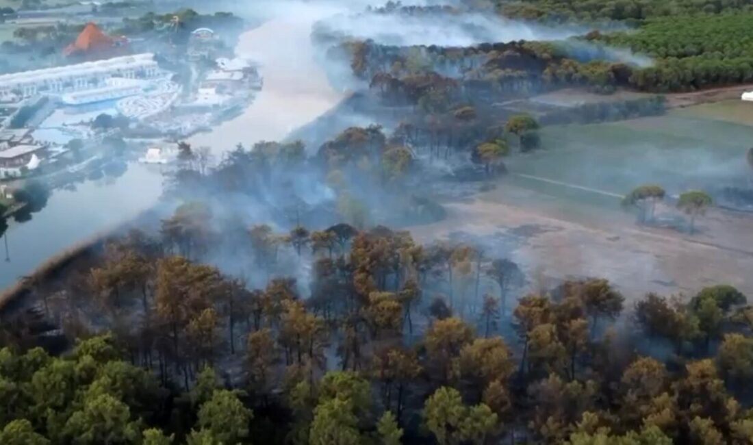 Namık Kemal KILINÇ/ANTALYA, – ANTALYA’nın Aksu ilçesinde dün akşam çıkıp,