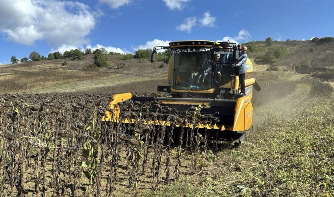 Abdullah YALÇIN/KOCAELİ, -TOHUMU Trakya tarlalarında üretildikten sonra Türkiye’nin çeşitli illerinde
