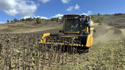 Abdullah YALÇIN/KOCAELİ, -TOHUMU Trakya tarlalarında üretildikten sonra Türkiye’nin çeşitli illerinde