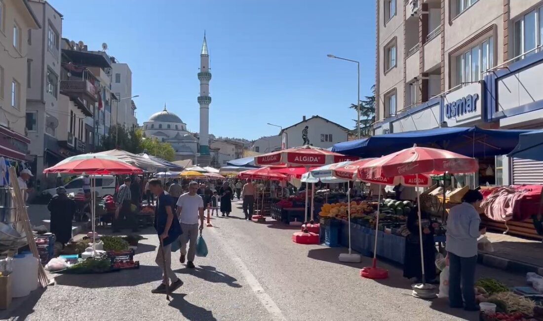 Mehmet İNAN-Hüseyin SEZGİN/ORHANELİ (Bursa), – BURSA’nın Orhaneli ilçesinde çiftçilikle geçimini