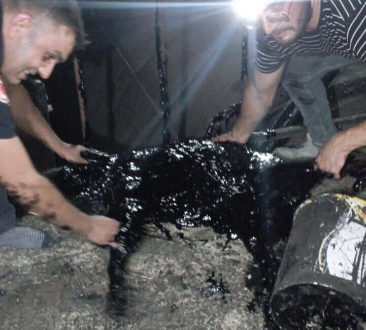 Ali Fuat GÜÇLÜER/AFYONKARAHİSAR, – AFYONKARAHİSAR’da bir fabrikada zift kazanına düşen