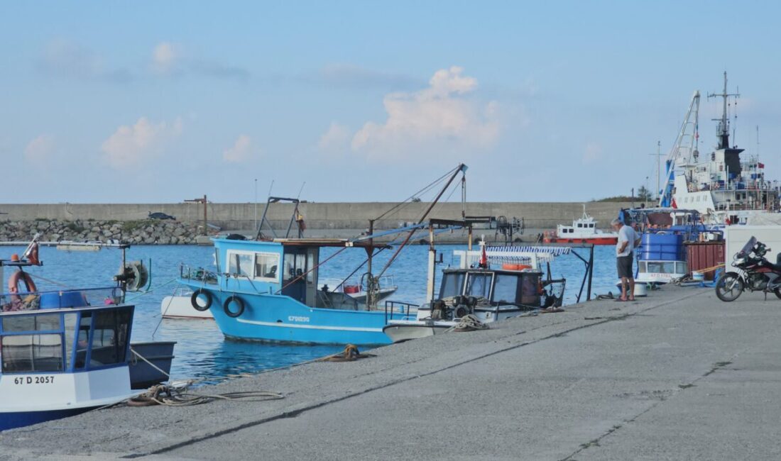 Ali Sencer ARSLAN/ZONGULDAK, – ZONGULDAK’ta 1 Eylül’de yasağın kalkmasıyla ağlarını