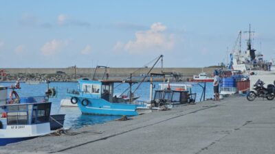 Ali Sencer ARSLAN/ZONGULDAK, – ZONGULDAK’ta 1 Eylül’de yasağın kalkmasıyla ağlarını