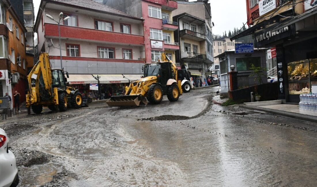 Cem SÜRMENELİ/ ALAPLI (Zonguldak), – ZONGULDAK’ın Alaplı ilçesinde sağanak nedeniyle