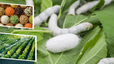 “Çiftçimizin emeğine güç, toprağımıza bereket katıyoruz. 349 milyon TL tarımsal