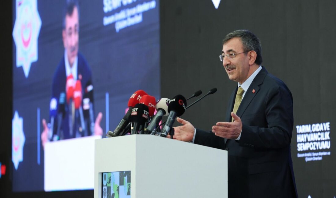 Ruken KADIOĞLU-Muhammet BAYRAM/ANKARA, – CUMHURBAŞKANI Yardımcısı Cevdet Yılmaz, “Son 22