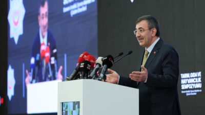 Ruken KADIOĞLU-Muhammet BAYRAM/ANKARA, – CUMHURBAŞKANI Yardımcısı Cevdet Yılmaz, “Son 22