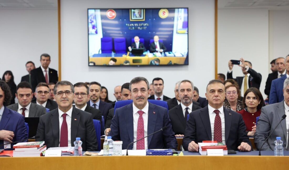 Aliekber METE/ANKARA, – CUMHURBAŞKANI Yardımcısı Cevdet Yılmaz, “Bütçemiz, yatırımı, istihdamı,