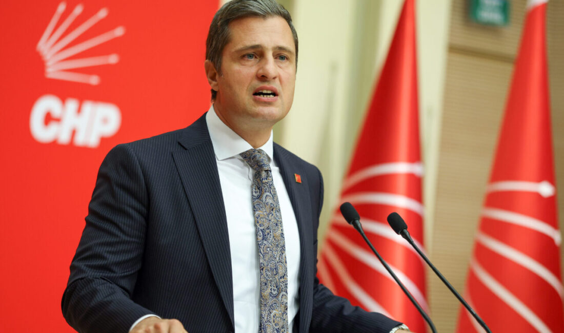 Ayşenur DEMİRTAŞ GÜL/ANKARA, – CHP Genel Başkan Yardımcısı ve Parti