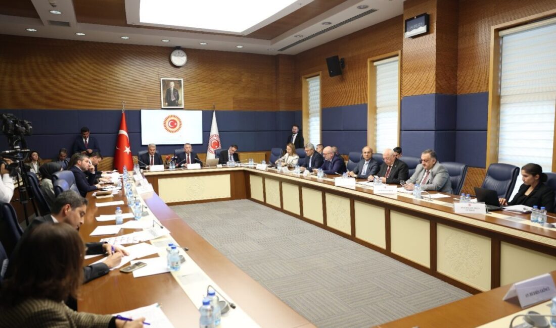 Aliekber METE/ ANKARA, – TBMM Dışişleri Komisyonu Başkanı Fuat Oktay,