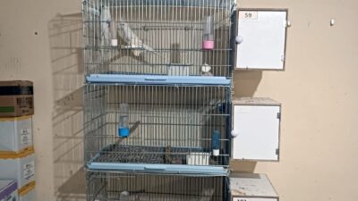 Nisa MİĞAL/ANKARA, – TARIM ve Orman Bakanlığı Doğa Koruma ve