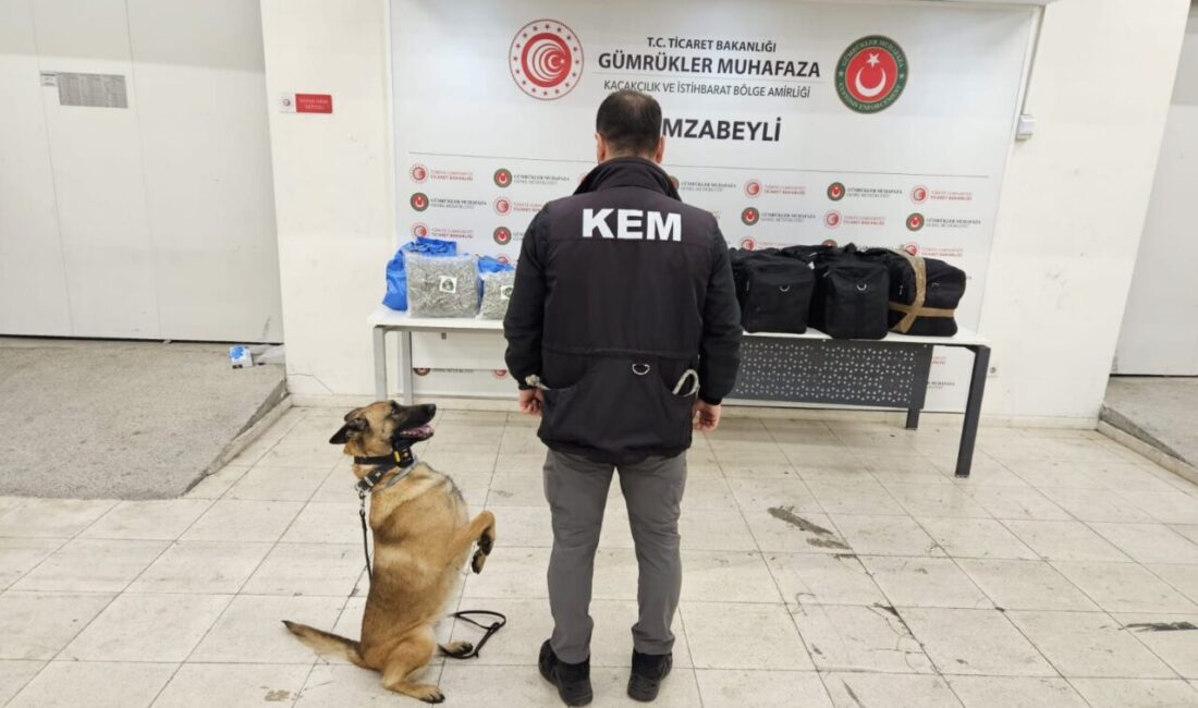 ANKARA, – HAMZABEYLİ Gümrük Muhafaza Kaçakçılık ve İstihbarat Müdürlüğü ile