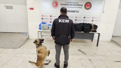 ANKARA, – HAMZABEYLİ Gümrük Muhafaza Kaçakçılık ve İstihbarat Müdürlüğü ile