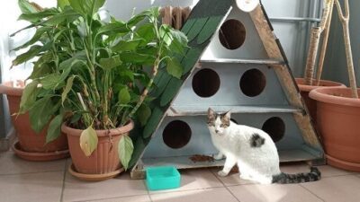 İSTANBUL, – ENERJİSA Üretim, esnek yan haklar programı kapsamında yer