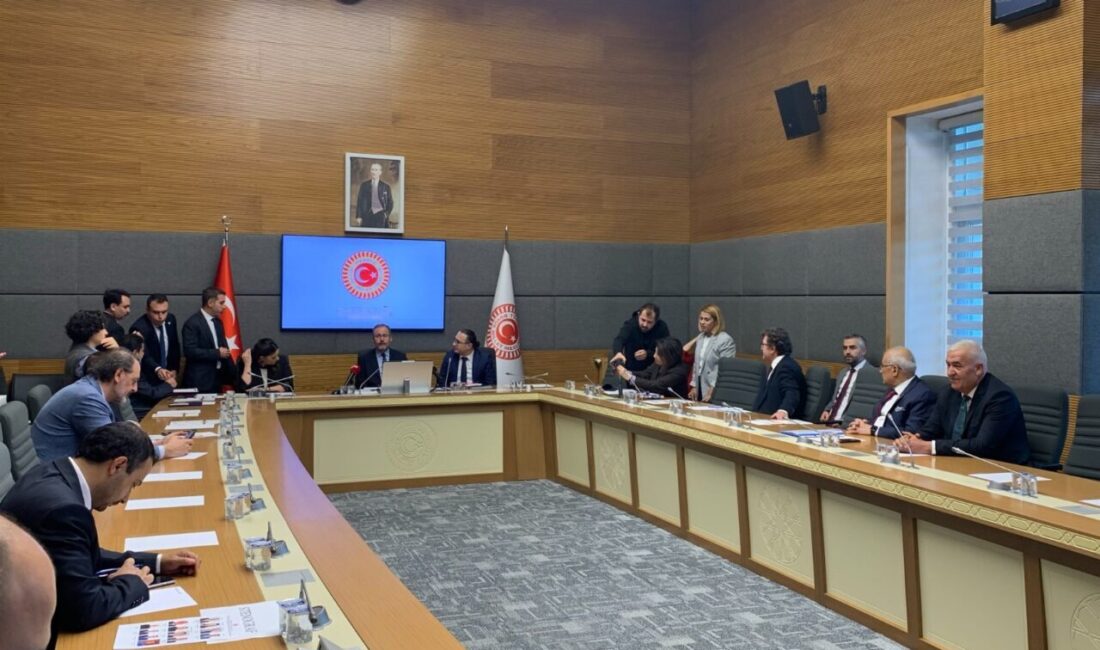 Aliekber METE/ ANKARA, – TBMM Engelli Bireylerin Sorunlarını Araştırma Komisyonu,