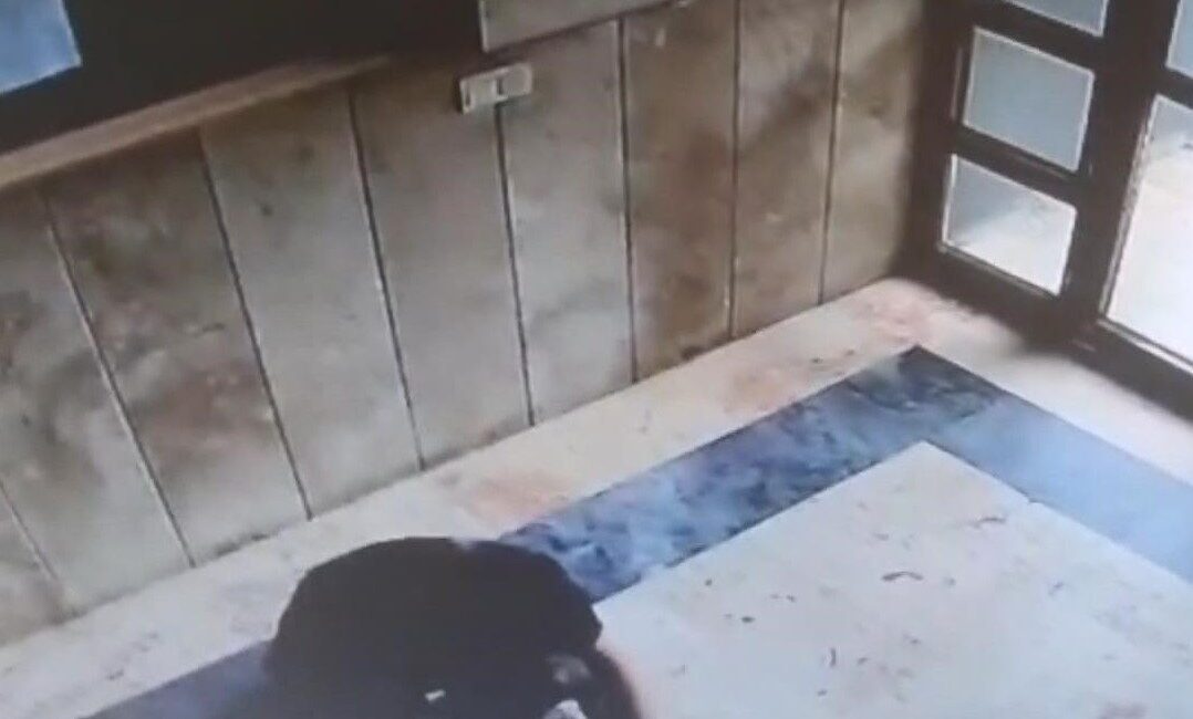 Canan İLARSLAN – Hadican EROL – Baran AKKAYA / İSTANBUL,