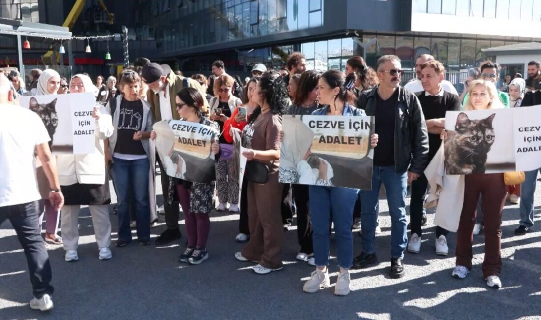 Canan İLARSLAN – Hadican EROL – Baran AKKAYA / İSTANBUL,