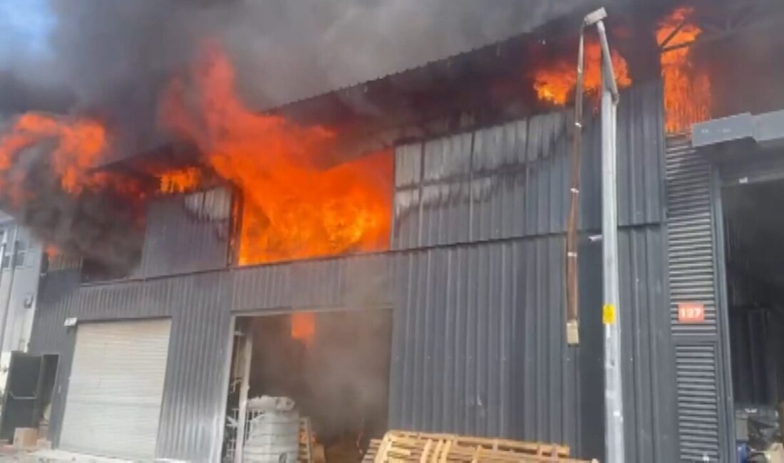 İSTANBUL – BEYLİKDÜZÜ Organize Sanayi Bölgesi içerisinde bulunan fabrikada yangın