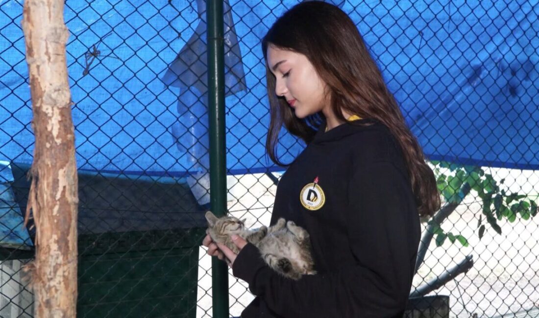 Devran GÜNDÜZ- Mehmet ALA/ İSTANBUL, – DEMİRÖREN Medya ve Teknoloji